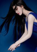 严沉损害他国从